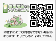 携帯電話用QRコード