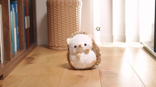 ①自己紹介-3.jpg