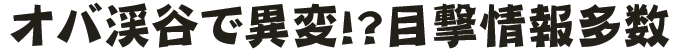 オバ渓谷で異変!?目撃情報多数