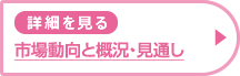 【詳細を見る】市場動向と概況・見通し