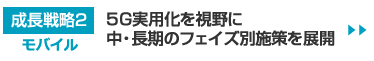 成長戦略2　コンシューマ：5G実用化を視野に中・長期のフェイズ別施策を展開