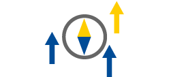 Management Index