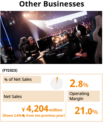 Other Businesses / % of Net Sales 4.6% / Net Sales 4,390 million yen (Down 0.1% from the previous year) / Operating Margin 32.9%