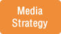 Media Strategy