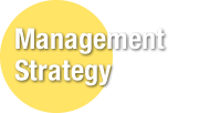 Management Strategy