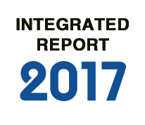 INTEGRATED REPORT 2017