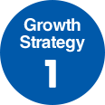 Growth Strategy 1