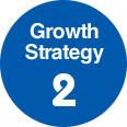 Growth Strategy 2