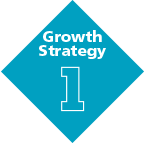 Growth Strategy 1