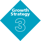 Growth Strategy 3