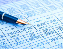 Income Statements (Japan GAAP)