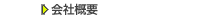 ЊTv